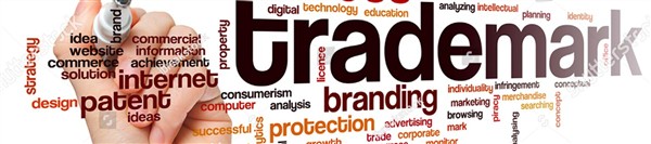 NULIDAD Y CADUCIDAD DE MARCAS: PRÁCTICA DE LA OEPM