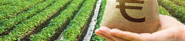 CURSO ESPECIAL SOBRE SUBVENCIONES