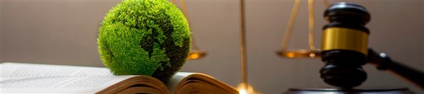 DIPLOMA DE ALTA ESPECIALIZACIÓN EN DERECHO, SOSTENIBILIDAD Y ESG